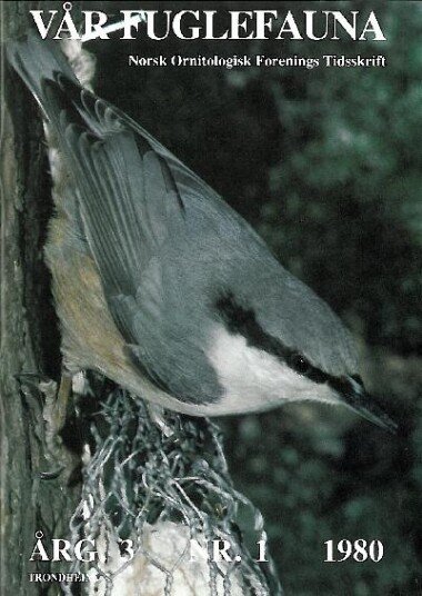 Norsk Ornitologisk Forening Vår Fuglefauna   1980 1 årgang 3