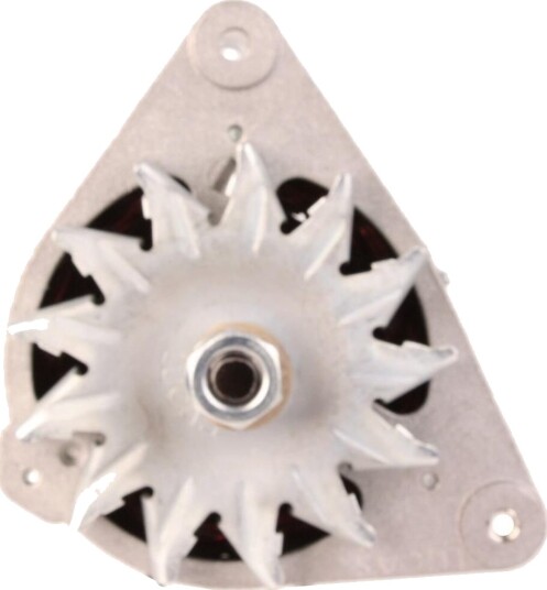 Dynamo WALKER WAL00436