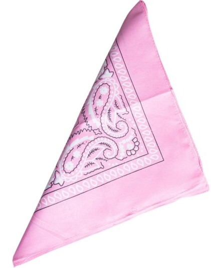 Paisley Bandana Rosa