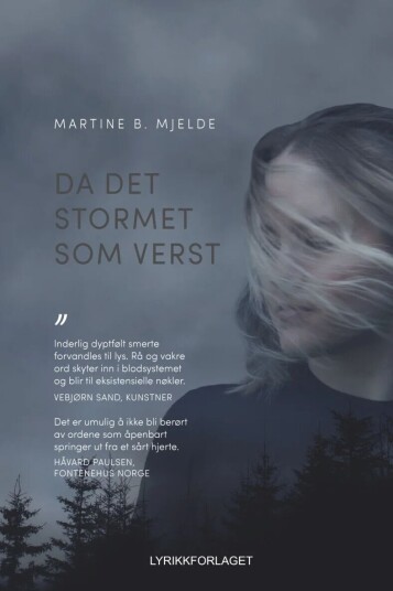 Da Det Stormet Som Verst Av Martine B. Mjelde