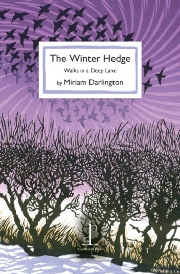 The Winter Hedge Av Miriam Darlington The Winter Hedge Av Miriam Darlington