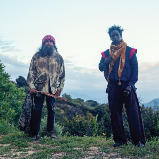 Saul Williams Meets Carlos Nino Friends At Vinyl