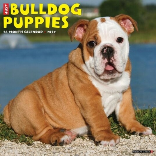 Bulldog Puppies 2027 Wall