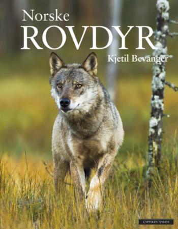 Norske Rovdyr Av Kjetil Bevanger