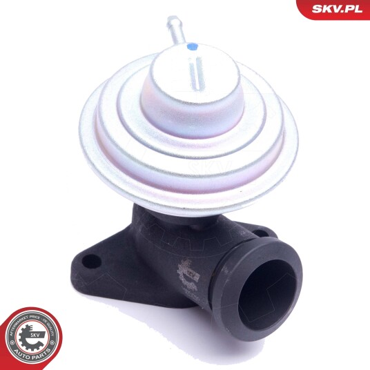 ESEN SKV 14SKV205 EGR-ventil