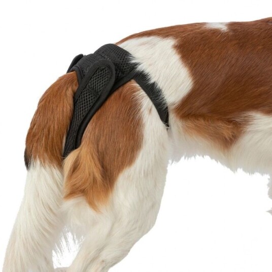 Trixie Comfort Tispetruse I Mesh Svart (S-M) Trixie Comfort Tispetruse I Mesh Svart (S-M)