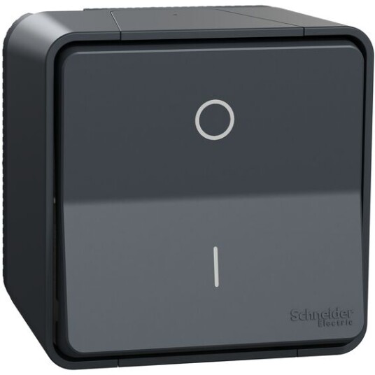 Schneider Electric Bryter Påvegg Mureva Styl 2 polet 16A IP55 Grå