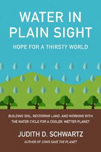 Schwartz Judith D. Water in Plain Sight