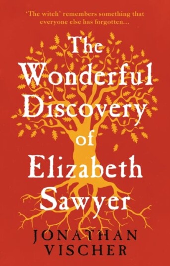 The Wonderful Discovery Of Elizabeth Sawyer Av Jonathan Vischer