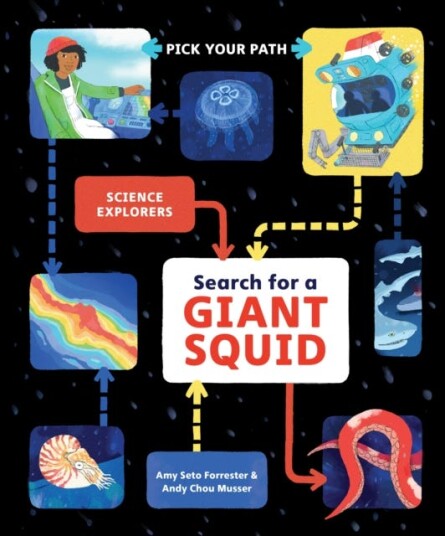 Search for a Giant Squid  Pick Your Path