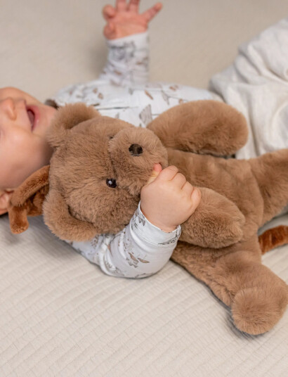 Teddykompaniet Teddy, Speldosa, Brun - Brown - 35 CM Teddykompaniet Teddy, Speldosa, Brun - Brown - 35 CM
