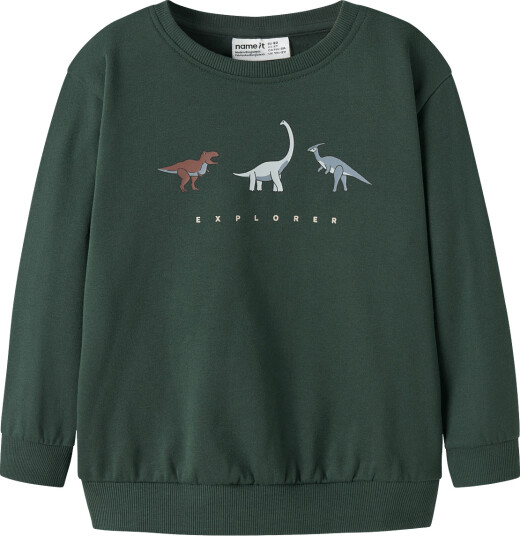 Name It Nmmnilius Ls Nreg Swe Bru Pb Green 110