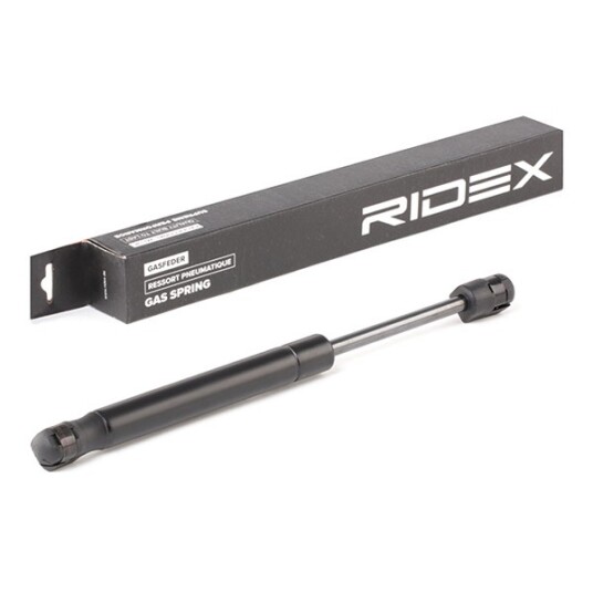 Baklukedemper RIDEX 219G0260 Baklukedemper RIDEX 219G0260
