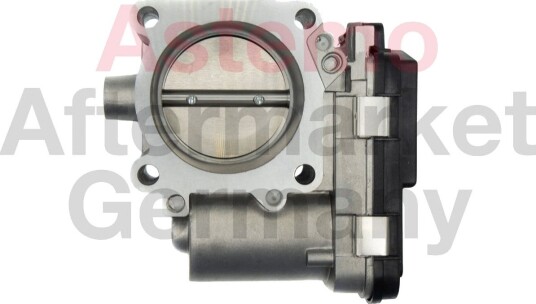 Gasspjeld HITACHI 2509028