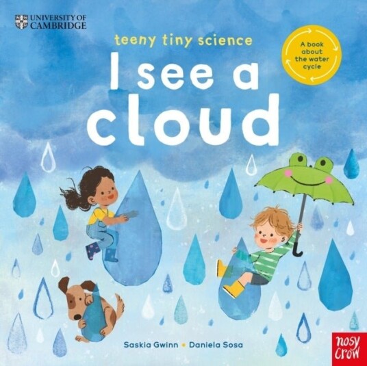 University of Cambridge: Teeny Tiny Science: I See a Cloud University of Cambridge: Teeny Tiny Science: I See a Cloud