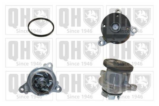 QUINTON HAZELL QCP3781 Vannpumpe QUINTON HAZELL QCP3781 Vannpumpe