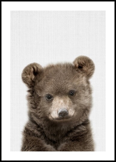 Cute Bear Cub Plakat / 70x100 Cute Bear Cub Plakat / 70x100