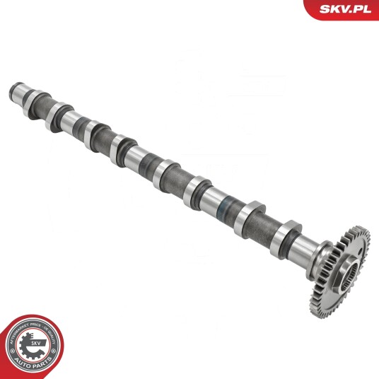 ESEN SKV 80SKV056 Kamaksel