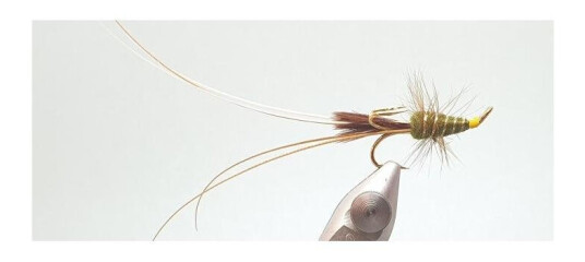 Arcticproducts Frances Olive (Gold Treble) - 8 Arcticproducts Frances Olive (Gold Treble) - 8