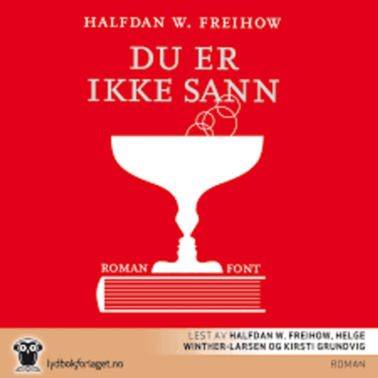 Du Er Ikke Sann Halfdan W. Freihow Lydbok CD