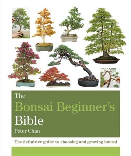 The Bonsai Beginner'S Bible Av Peter Chan
