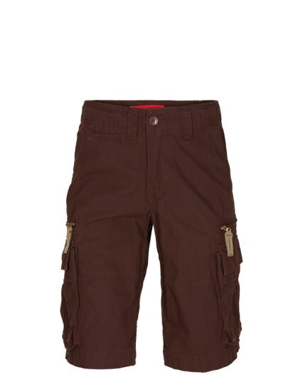 Molecule Cruisers Shorts Brun