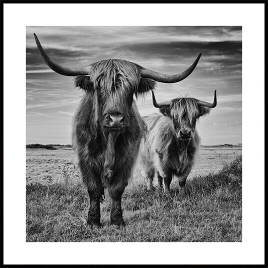 Highlands Poster Plakat / 30x30cm Highlands Poster Plakat / 30x30cm
