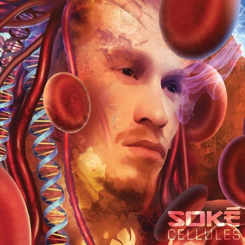 Soke Cellules CD