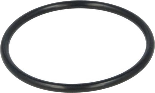 Ventil, bensinpumpe ENGITECH ENT250123