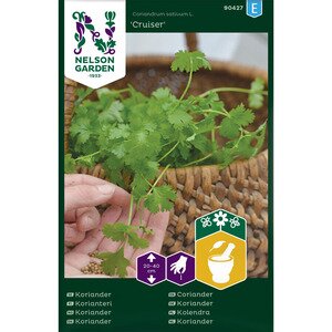 Nelson Garden Koriander Cruiser Nelson Garden Koriander Cruiser