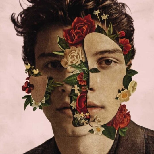 Shawn Mendes  Shawn Mendes: The Album  CD