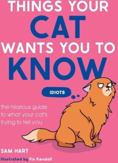 Things Your Cat Wants You to Know
