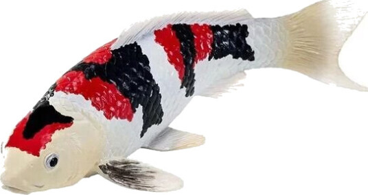 Mojo Sealife Koi Carp Showa Sanshoku Koi