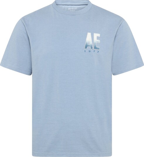 American Eagle G Ss Intl Elevated Set In Tee Cvc Faux Hthr + Seriously Soft Wash Blue S