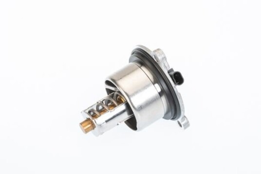 Termostat WAHLER 411076.104D