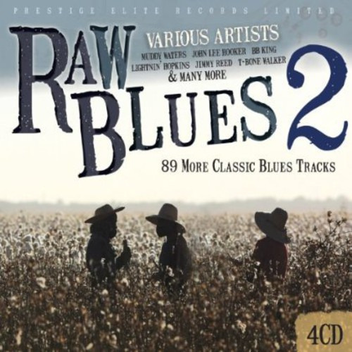 Diverse Artister Raw Blues 2 CD