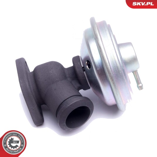 ESEN SKV 14SKV203 EGR-ventil
