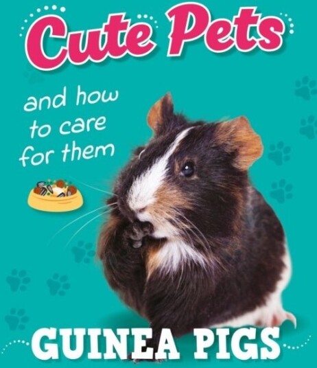 Cute Pets! And How to Care For Them: Guinea Pigs Cute Pets! And How to Care For Them: Guinea Pigs