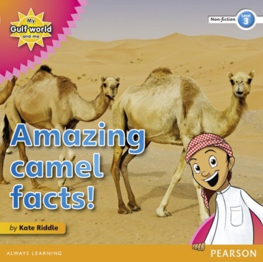 My Gulf World and Me Level 3 nonfiction reader: Amazing camel facts!