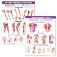 Anatomical Chart Company Trigger Point Chart Set: Torso & Extremities  Lam