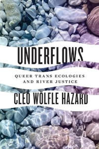 Underflows Av Cleo Wolfle Hazard