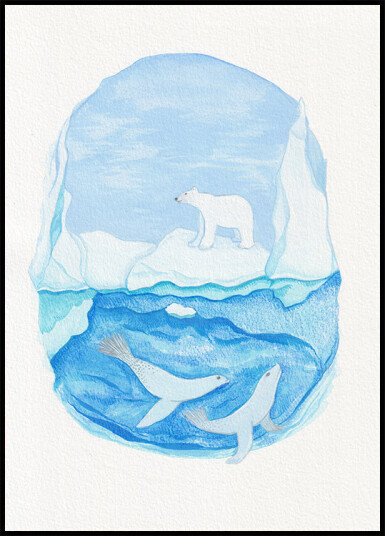 Arctic Life Frozen Seas Polar Bear and Seals Plakat Plakat / 70x100cm Arctic Life Frozen Seas Polar Bear and Seals Plakat Plakat / 70x100cm