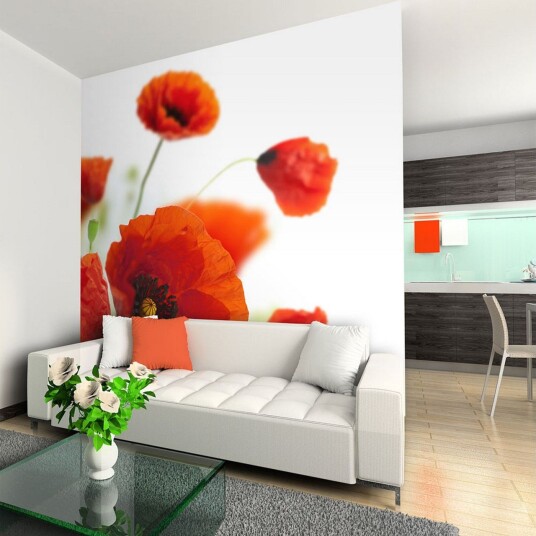 Fototapet Poppies On The Wihite Background 300x231 - Artgeist sp. z o. o.
