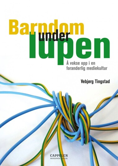 Barndom under lupen av Vebjørg Tingstad