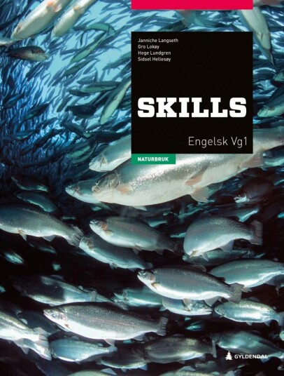 Skills Av Sidsel Hellesøy, Janniche Langseth, Gro Lokøy, Hege Lundgren