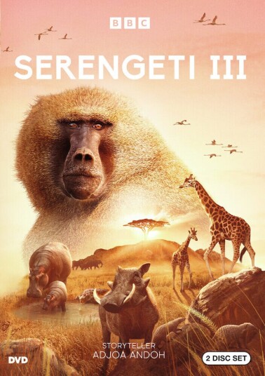 Serengeti Year 3 DVD Serengeti Year 3 DVD
