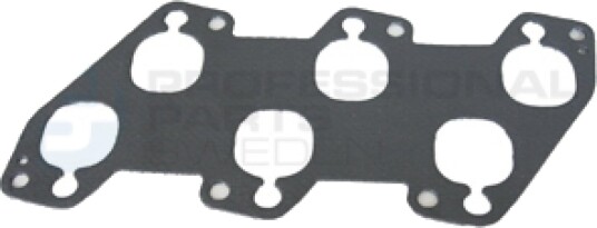 Tetning innsugningsmanifold Professional Parts 21342127