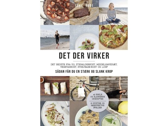 Det Der Virker | Lene Rode | Språk: Dansk