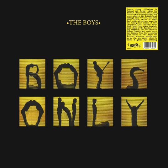 The Boys Boys Only LP/Vinyl