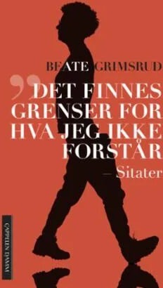 Det Finnes Grenser For Hva Jeg Ikke Forstår Av Beate Grimsrud
